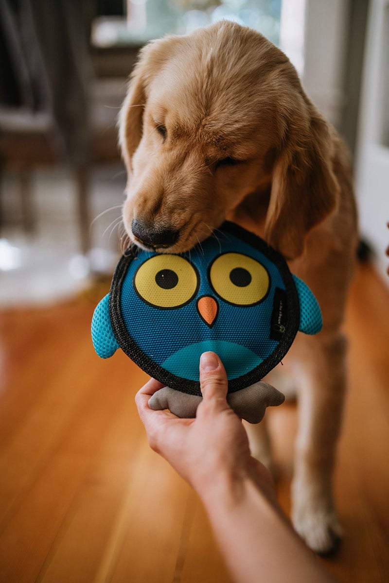 Hyper Pet Firehose Flyers Owl Durable Squeaky Dog Toy Grey 7.5 x 1.2 x 8.2 inches - Image 3